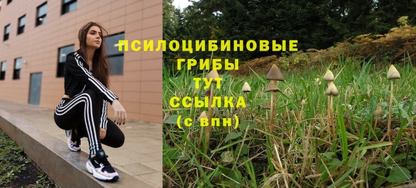 не бодяженный Алексин