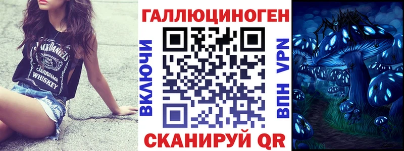дарнет шоп  Слободской  Псилоцибиновые грибы Cubensis 